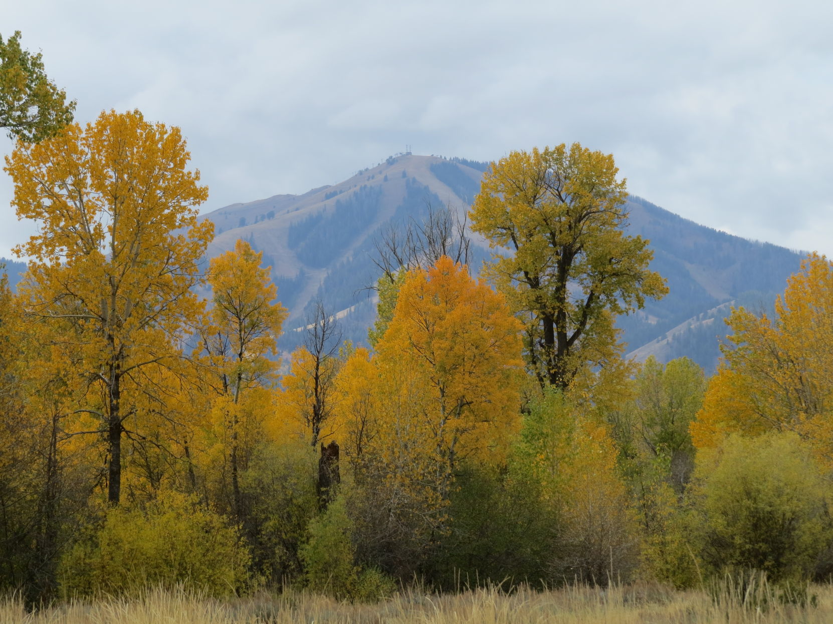 Boundary Baldy
